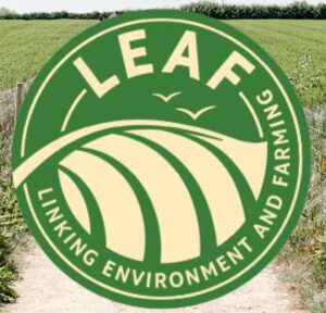 LEAF Blog image